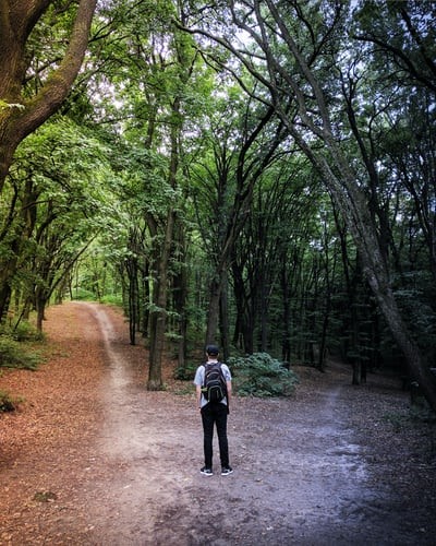 CHOOSING A CAREER: A CHRISTIAN’S PRIORITY Blog 1