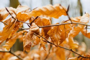 lost of interest in spiritual things